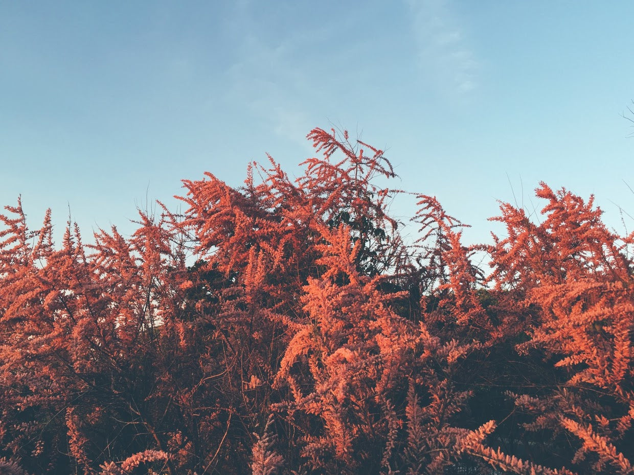 Get Even: how to treat hyperpigmentation