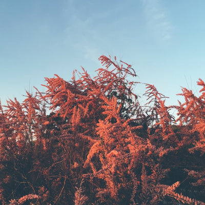 Get Even: how to treat hyperpigmentation